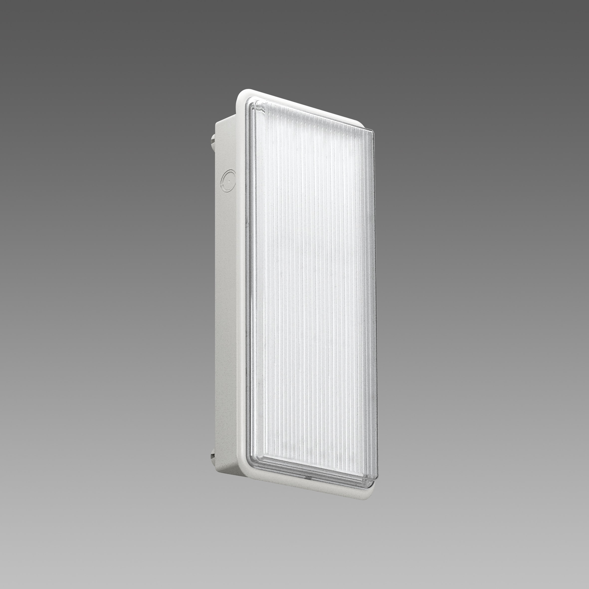 DISANO ILLUMINAZIONE - SAFETY-S.E. 3H 618 LED 2W CLD-E GRI