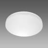 Miniatura Immagine principale 1