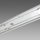 DISANO ILLUMINAZIONE - FORMA 995 LED 61W CLD P.CABL.