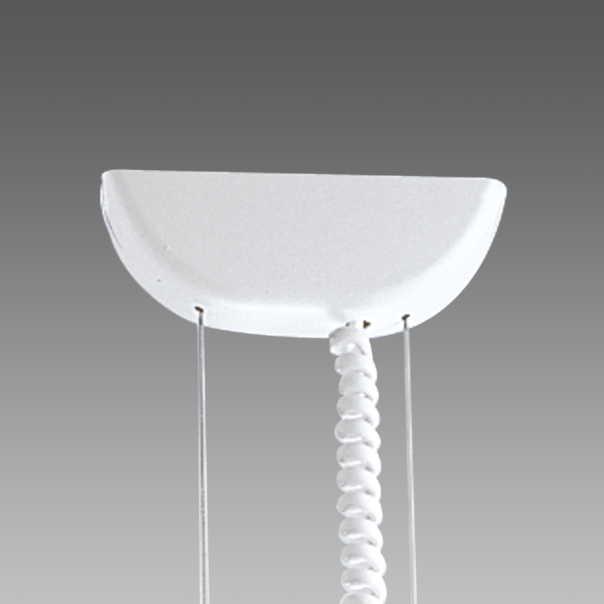 DISANO ILLUMINAZIONE - SOSPENSIONE ELETTRIFICATA 2608 BIANCO