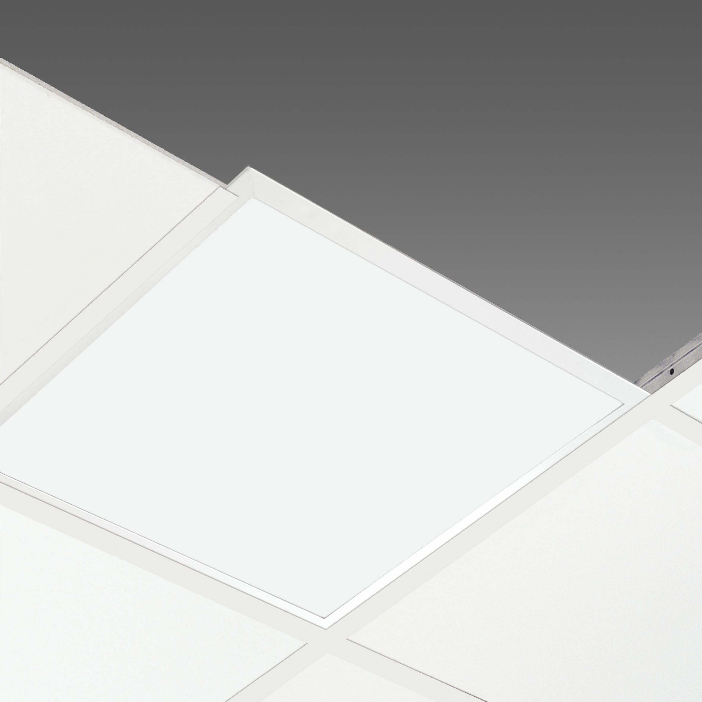 DISANO ILLUMINAZIONE - COMFORT PANEL 845 LED 24W CLD BIA