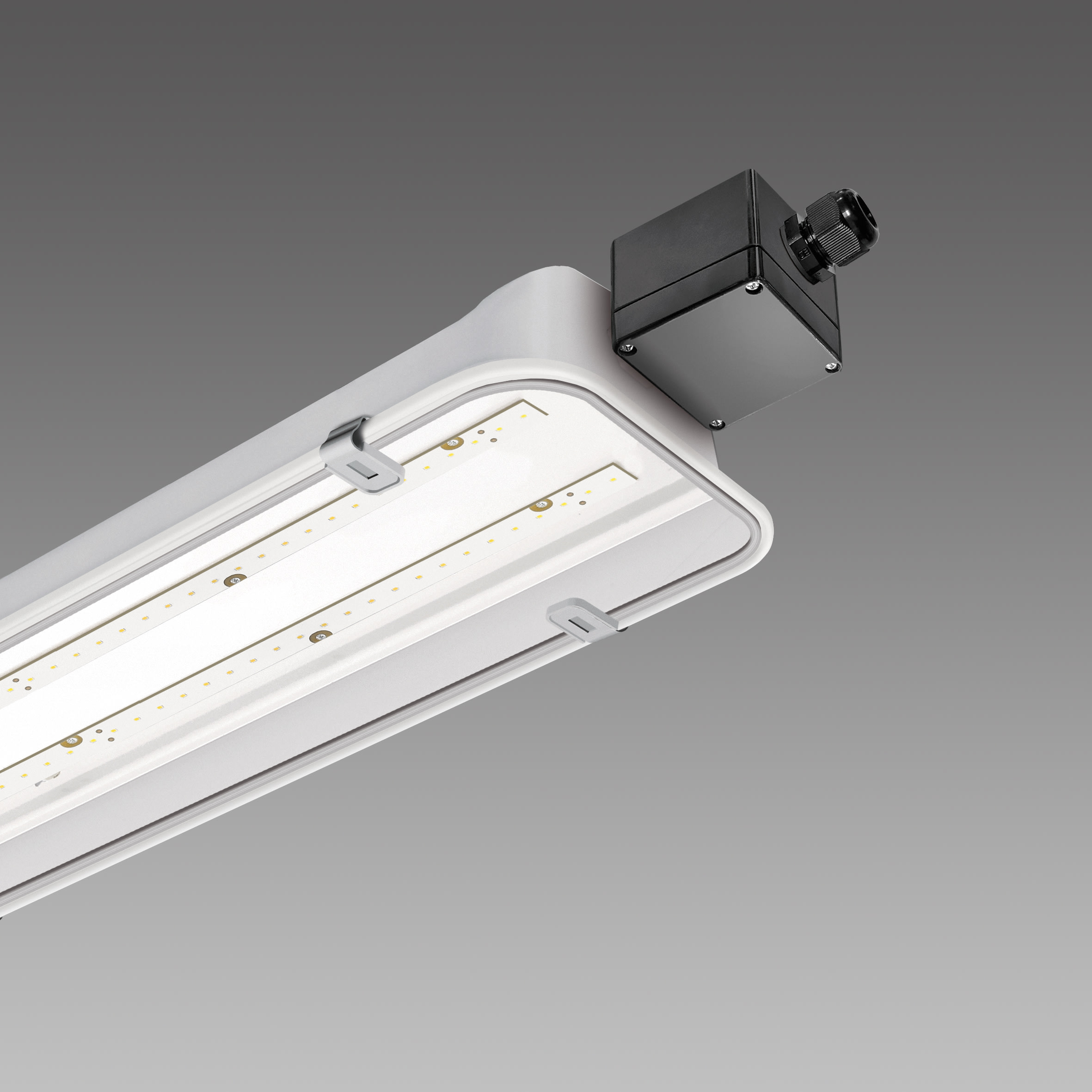 DISANO ILLUMINAZIONE - FORMA ATEX ZONA22 993 LED 65W CLD GREY