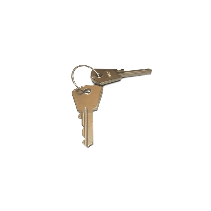 DKC EUROPE - Acc. per Serie SCS - Coppia di chiavi di sicurezza Y12 CS/12 COPPIA DI CHIAVI