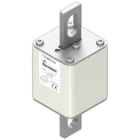 EATON INDUSTRIES - Cartuccia fusibile extra-rapida 1000A 1000V dimensione 2 61 x 77 x 160mm aR IEC UL 170M5700 FUSE 2FU/115 AR.