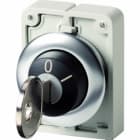 EATON INDUSTRIES - Selettore chiave frontale piatto stabile 2 posizioni MS10 estraibilità 0 I ghiera acciaio inox M30I-FWRS-MS10 SEL CH 2P STAB.