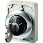 EATON INDUSTRIES - Attuatore con sblocco a chiave, a filo pannello, ritentivo, 2 posizioni, MS5, estraibilità della chiave: 0, I, ghiera frontale in acciaio - M30I-FWRS-MS5 SEL CH. MS5 2P STAB.