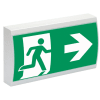 Miniatura Immagine principale 1