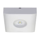 EATON INDUSTRIES - GUIDELED SL 13022.2 CGS SUPERFICIE, SIMM