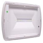 EATON INDUSTRIES - SAFELITE 24W SA/SE 300LM 1H IP42