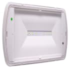 EATON INDUSTRIES - SAFELITE 24W SA/SE 300LM 1H IP42