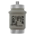 EATON INDUSTRIES - 100D125 SICHERUNG-D4 100A T GL/GG 500VAC