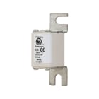 EATON INDUSTRIES - Cartuccia fusibile extra rapido 63A 900V DIN 00 AR IEC con indicatore 170E3844 FUSE 63A 900V 00/80 AR