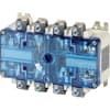 Miniatura Immagine principale 1