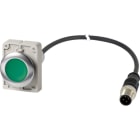 EATON INDUSTRIES - Pulsante piatto ad impulso 1NA cavo nero connettore M12A 4 poli 1m verde senza scritta Ghiera frontale in metallo C30C-FD-G-K10-P5.