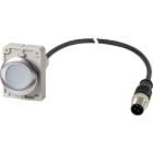 EATON INDUSTRIES - Pulsante luminoso piatto ad impulso 1 NA cavo nero con connettore M12A 4 poli 1 m LED bianco senza scritta 24 V AC/DC Ghiera front C30C FDL W K10 24 P5.