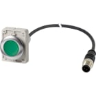 EATON INDUSTRIES - Pulsante luminoso piatto permanente 1 NA cavo nero con connettore M12A 4 poli 1 m LED verde senza scritta 24 V AC/DC Ghiera frontale C30C-FDRL-G-K10-24-P5.