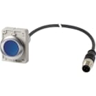 EATON INDUSTRIES - Pulsante luminoso piatto permanente 1 NA cavo nero con connettore M12A 4 poli 1 m LED azzurro senza scritta 24 V AC/DC Ghiera fro C30C-FDRL-B-K10-24-P5.