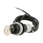 EATON INDUSTRIES - Pulsante a chiave, RMQ compact solution, impulso, 2 NC, Cavo nero con estremità aperta, 4 poli, 1 m, 2 posizioni, Ghiera frontale colore titolare, C22-WS-MS1-K02-P62 SEL.CH.IN.2POS.2NC 1M.