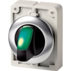 EATON INDUSTRIES - Selettore luminoso RMQ-Titan con maniglia permanente 2 posizioni verde Anello anteriore in acciaio inossidabile M30I-FWRLK-G SEL LUM D30 A FILO VERDE 2P