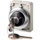 EATON INDUSTRIES - Attuatore con sblocco a chiave, a filo pannello, ritentivo, 2 posizioni, Ronis 455, estraibilità della chiave: 0, I, ghiera frontale: acci M30I-FWRS-RS SEL RONIS D30 A FILO 2POS S.