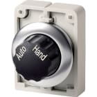 EATON INDUSTRIES - Interruttore di commutazione RMQ-Titan con testina rotante permanente 2 posizioni dicitura anello anteriore in acciaio inossidabile AUTO HA M30I-FWR-X91 SEL D30 A FILO 2 POS AUT-MA