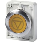 EATON INDUSTRIES - Pulsante luminoso, parte frontale piatta, annegato, ad impulso, giallo, con dicitura, ghiera in metallo, 30mm, codice M30C-FDL-Y-X66.