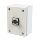 EATON INDUSTRIES - Interruttore ON/OFF, P1, 25 A, 3 poli, con leva nera e piastra frontale, in custodia di acciaio.