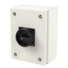 EATON INDUSTRIES - Interruttore generale T0 20 A in custodia 1 Unità costruttiva/e 2 poli Funzione di arresto con maniglia rotativa nera e corona di blocco lucchetto.
