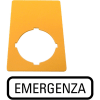 Miniatura Immagine principale 1