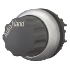 EATON INDUSTRIES - Interruttore commutazione RMQ-Titan, testina rotante, 2 posizioni, dicitura, Anello frontale titanio, AUTO HAND, M22-WR-X91 SEL. ROTELLA, PERM.