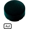 Miniatura Immagine principale 1