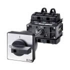 EATON INDUSTRIES - Interruttore di potenza P5, 125A, 3 poli, comando rinviato, leva nera e targhetta frontale.