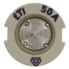 Miniatura Immagine principale 1