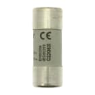 EATON INDUSTRIES - C22G63I CYL GG 22,2X58 63A/IND. C22G63I