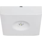 EATON INDUSTRIES - GUIDELED SL 13022.1 CGS SUPERFICIE, SIMM