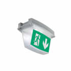 EATON INDUSTRIES - I-P65 LED CG-S BIFACCIALE