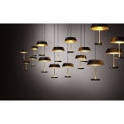 EGOLUCE - SOSPENSIONE SPIRITS NERO/ORO 1535.02.29/WW