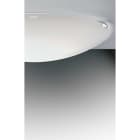 EGOLUCE - MINIPIN PLAFONE 3000K 5530.31/WW