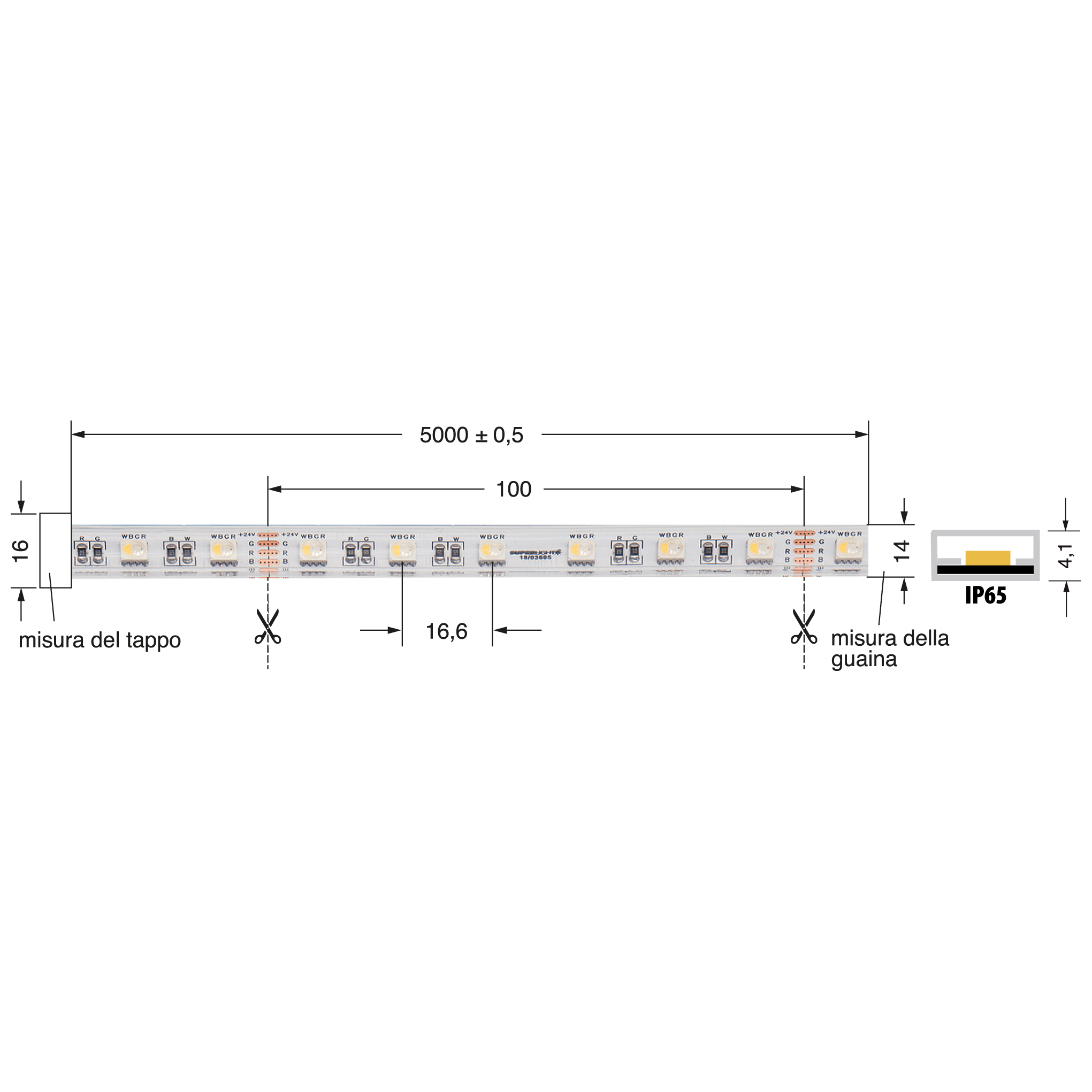 ELCART DISTRIBUTION - STRISCIA LED 19,2W/M RGBBF24VIP65