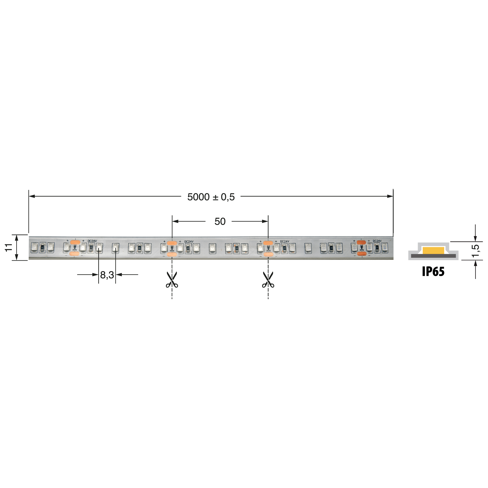 ELCART DISTRIBUTION - STRISCIA LED 9,6W/M B 24V IP65