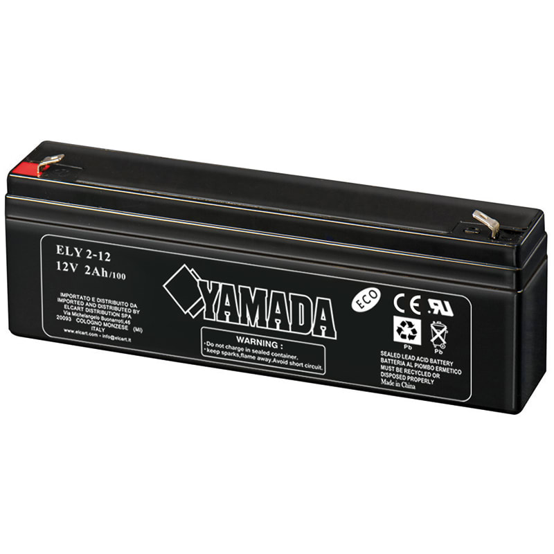 ELCART DISTRIBUTION - BATTERIA RIC.PIOMBO 12V 2AH ECO
