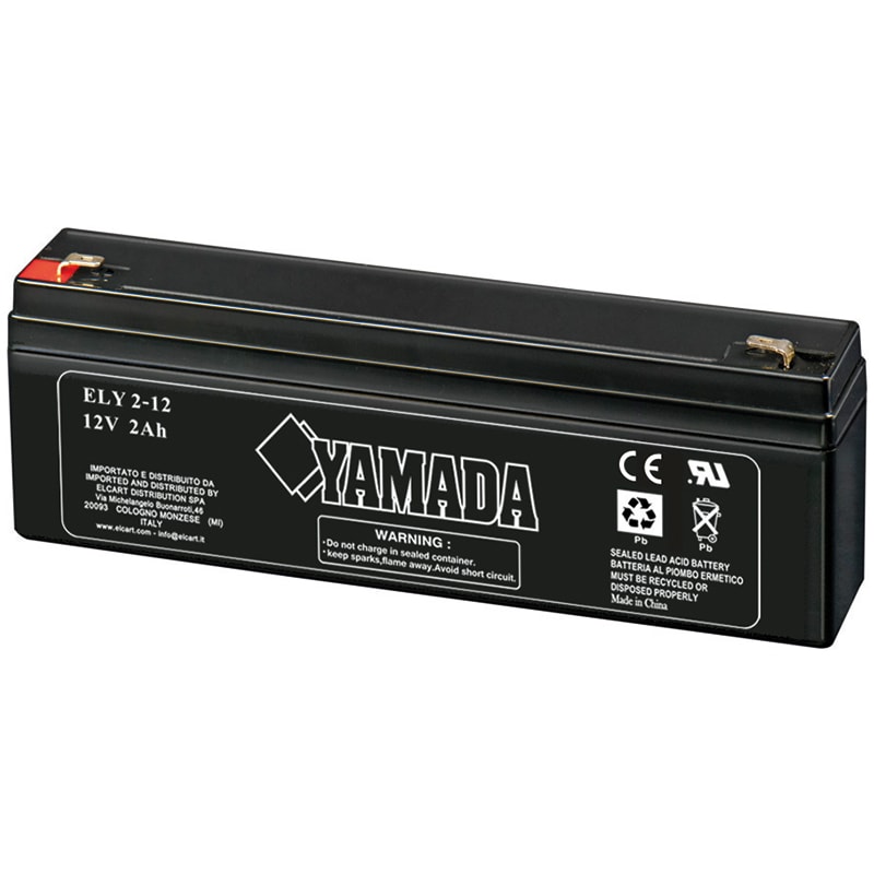 ELCART DISTRIBUTION - BATTERIA RIC.PIOMBO 12V 2,0 AH