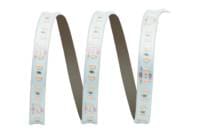 ELCART DISTRIBUTION - STRISCIA LED 12W/M BC 24V IP65