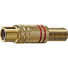 ELCART DISTRIBUTION - PRESA VOL. RCA DORATA ROSSA POL.