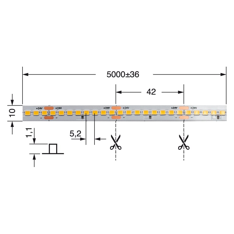 ELCART DISTRIBUTION - STRISCIA LED 34W/MT BCC 24V IP20