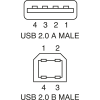 Miniatura Immagine principale 1