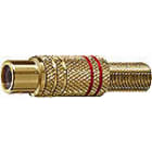 ELCART DISTRIBUTION - PRESA VOL.RCA DORATA NERA POL.