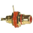 ELCART DISTRIBUTION - PRESA PANN.RCA DORATA NERA POL. 040204600