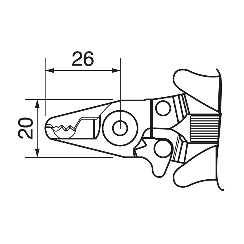 ELCART DISTRIBUTION - SPELLAF. FIBRA OTT.CSF-3*BLISTER* 070196300