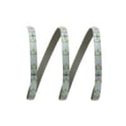 ELCART DISTRIBUTION - LEDSTRIP 4,8W/MT 24V BFREDDO IP65